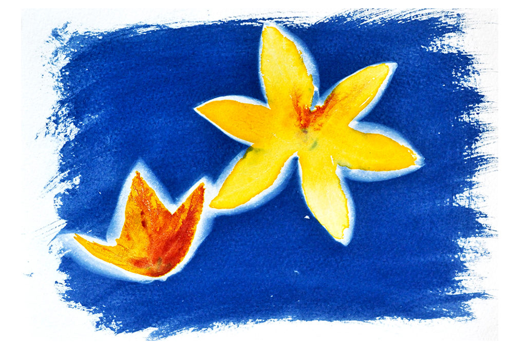 Las huellas de la Flores